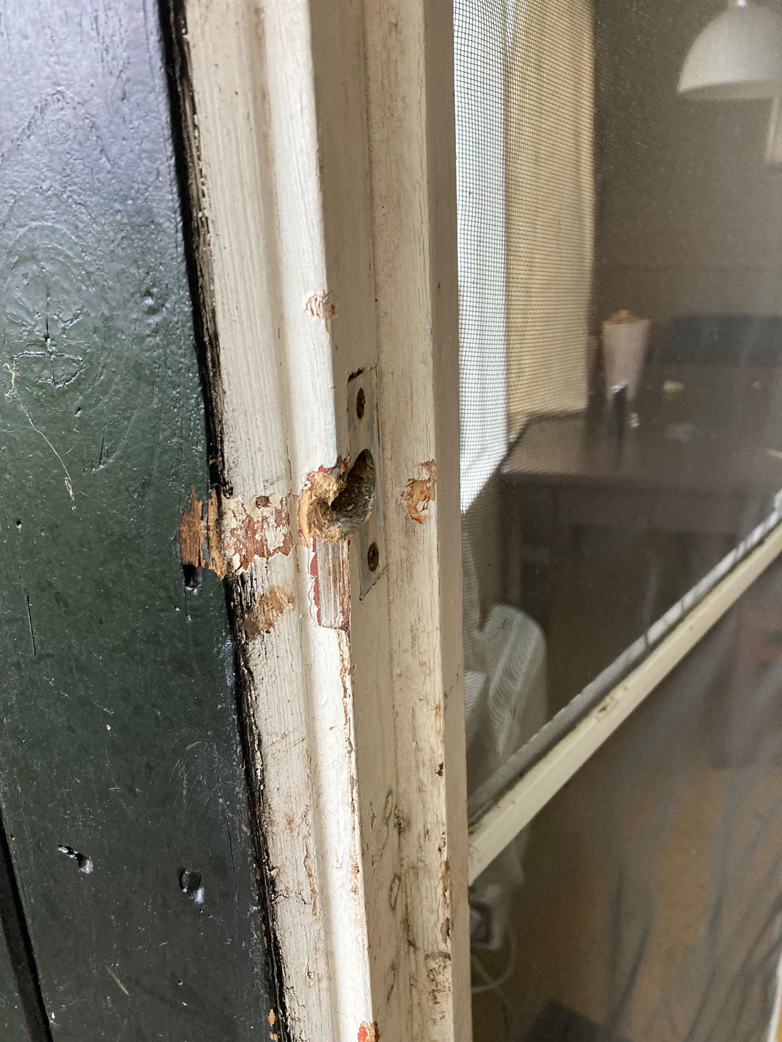 17a50ace ce52 4bfa bde2 79478b93f427