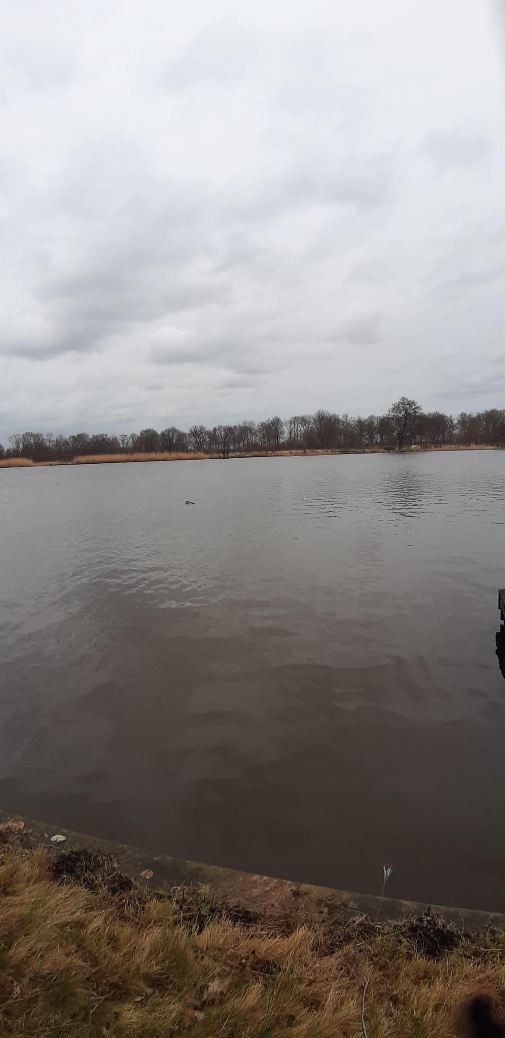 WhatsApp Image 2022 02 19 at 6.48.21 PM